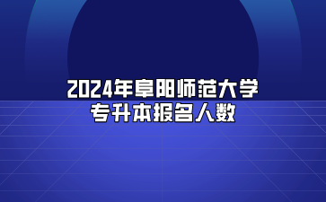 2024年阜阳师范大学专升本报名人数