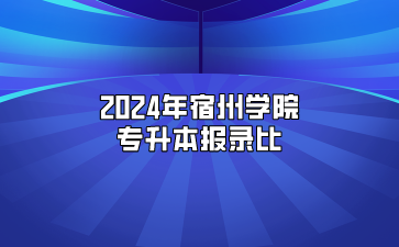 2024年宿州学院专升本报录比