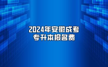 2024年安徽成考专升本报名费