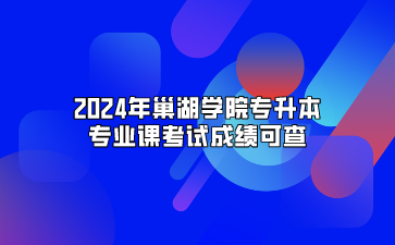 2024年巢湖学院专升本专业课考试成绩可查