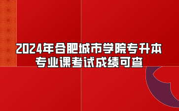 2024年合肥城市学院专升本专业课考试成绩可查