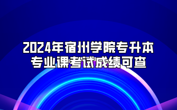 2024年宿州学院专升本专业课考试成绩可查