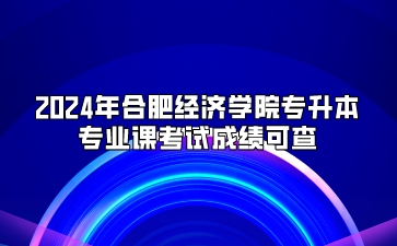 2024年合肥经济学院专升本专业课考试成绩可查