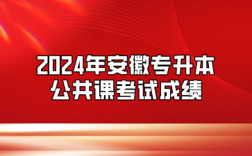 2024年安徽专升本公共课考试成绩